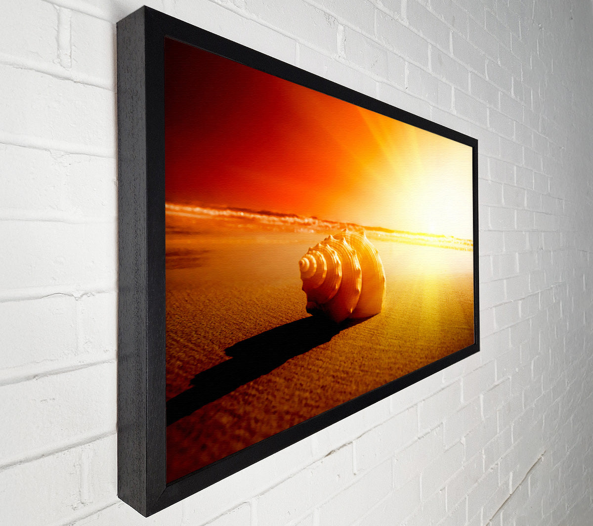 Seashell And Sun Canvas Wall Art