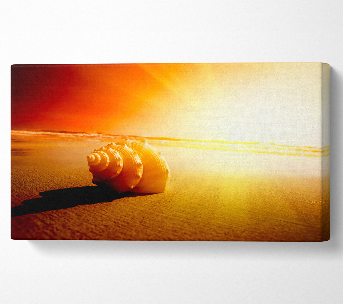 Seashell And Sun Canvas Wall Art