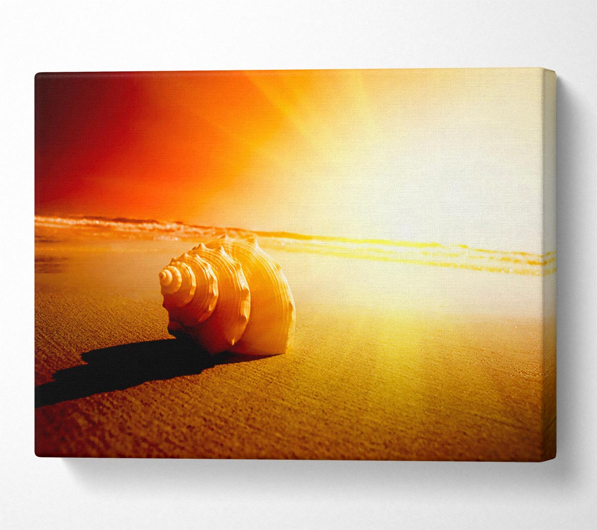 Seashell And Sun Canvas Wall Art