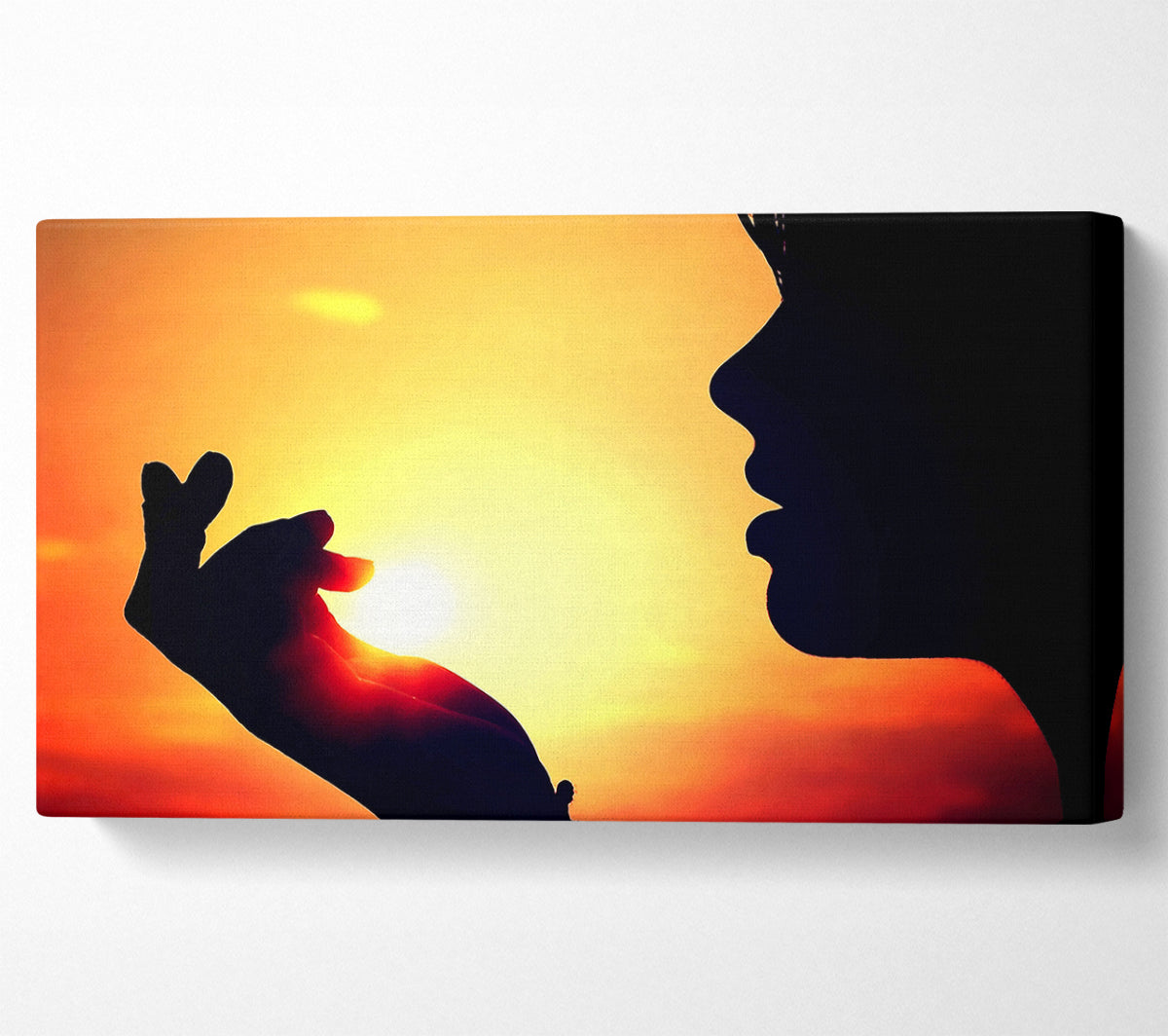 The Sun In Her Palm Canvas Wall Art