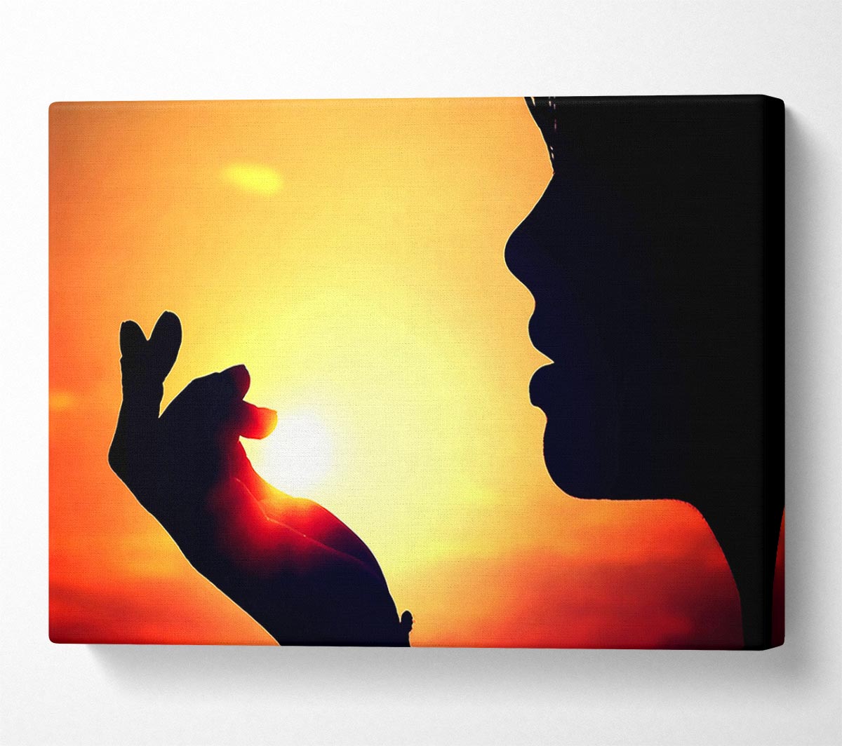 The Sun In Her Palm Canvas Wall Art