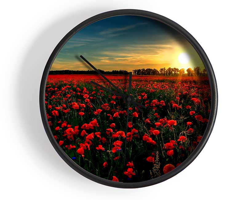 Red Flower Garden