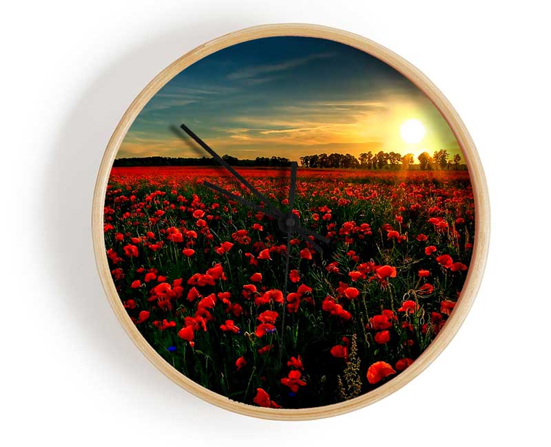 Red Flower Garden