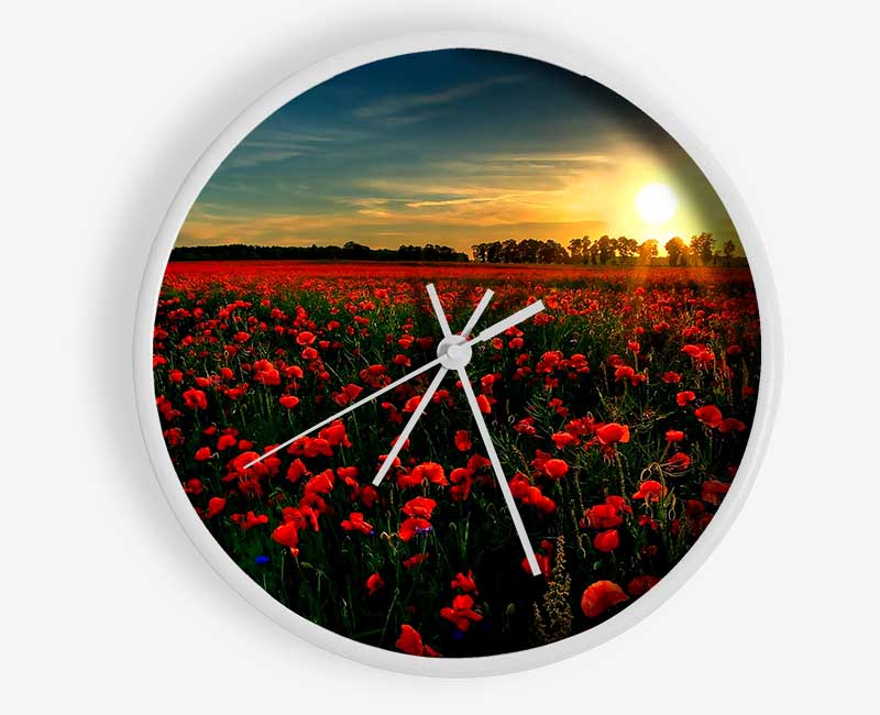 Red Flower Garden