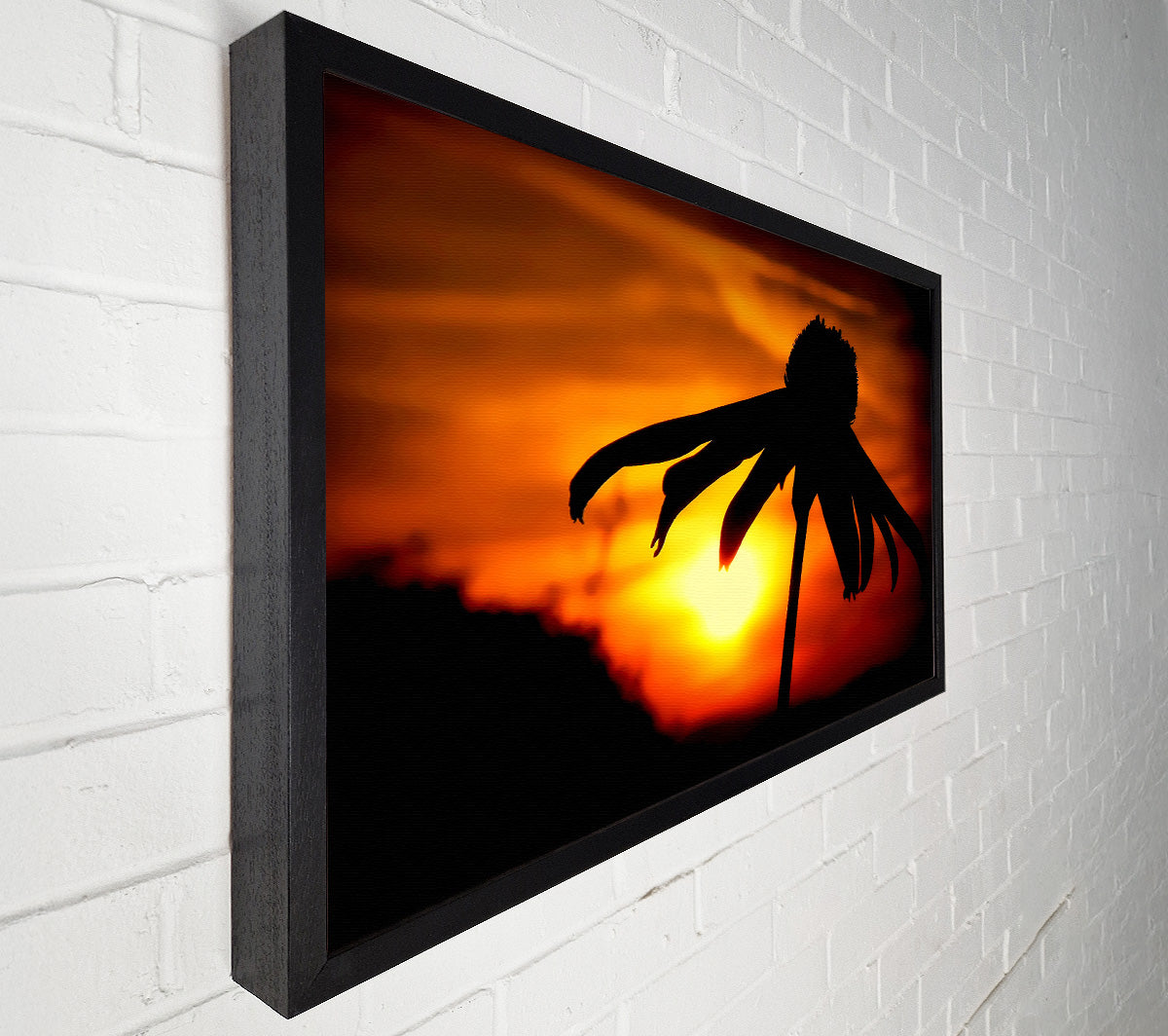 Sun Behind The Flower Canvas Wall Art
