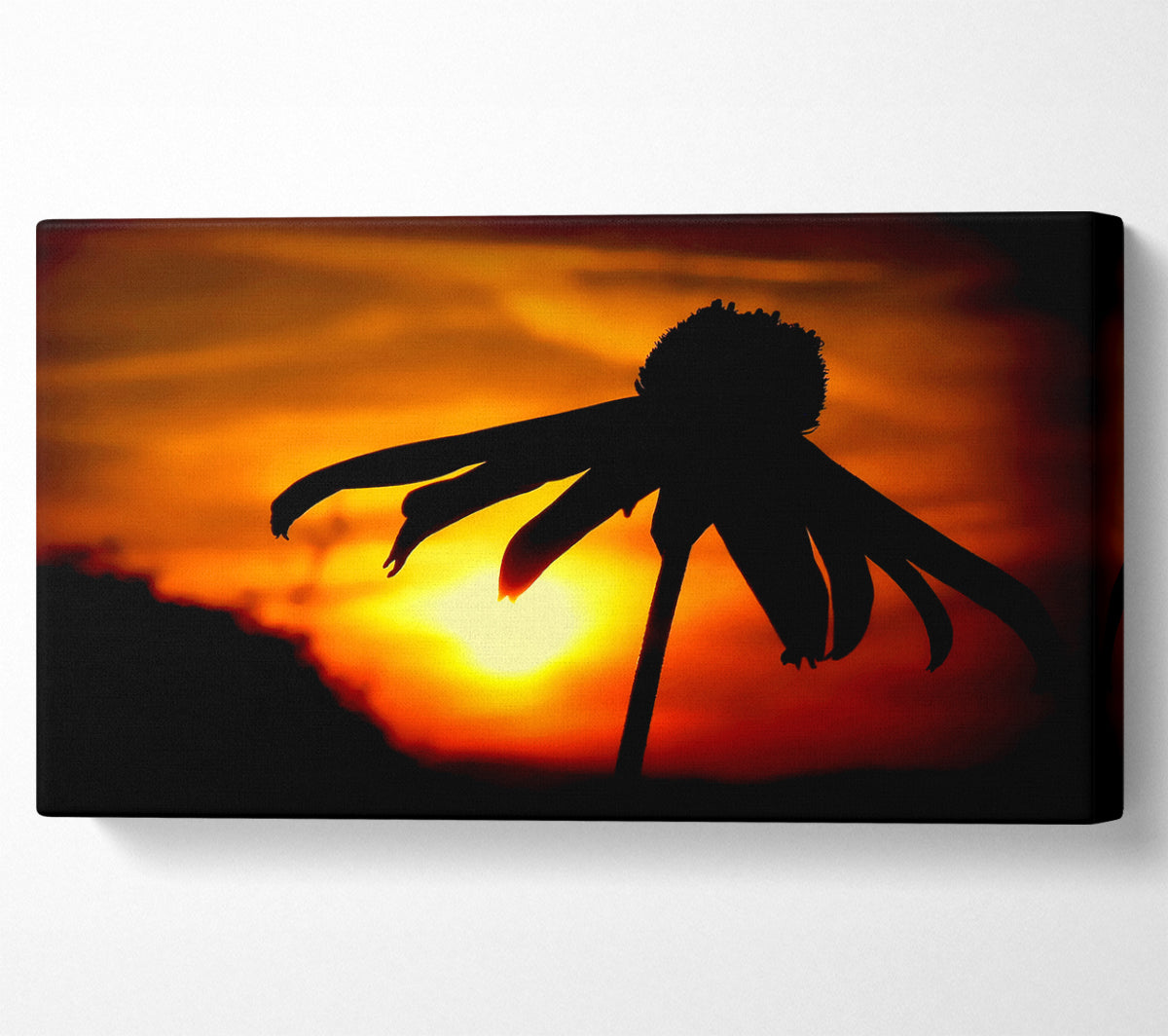 Sun Behind The Flower Canvas Wall Art