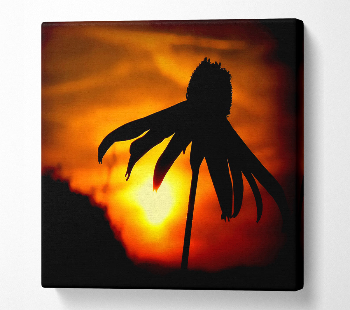 Sun Behind The Flower Canvas Wall Art