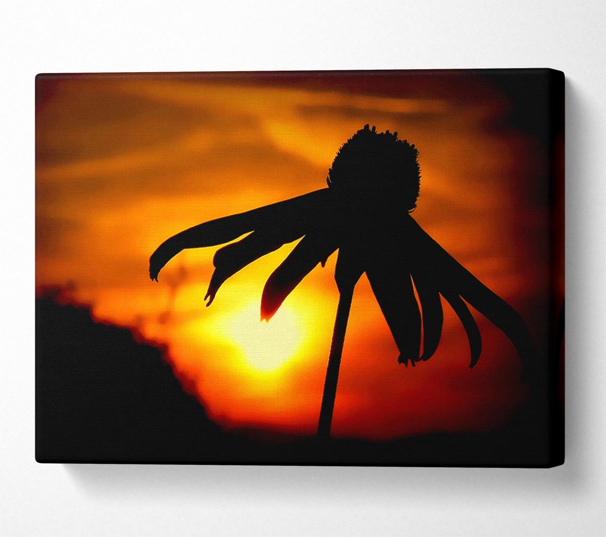 Sun Behind The Flower Canvas Wall Art