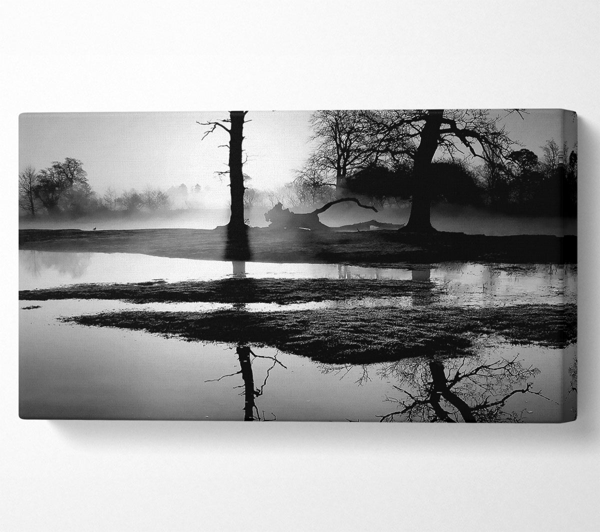 Sunset Forest Waters B n W Canvas Wall Art