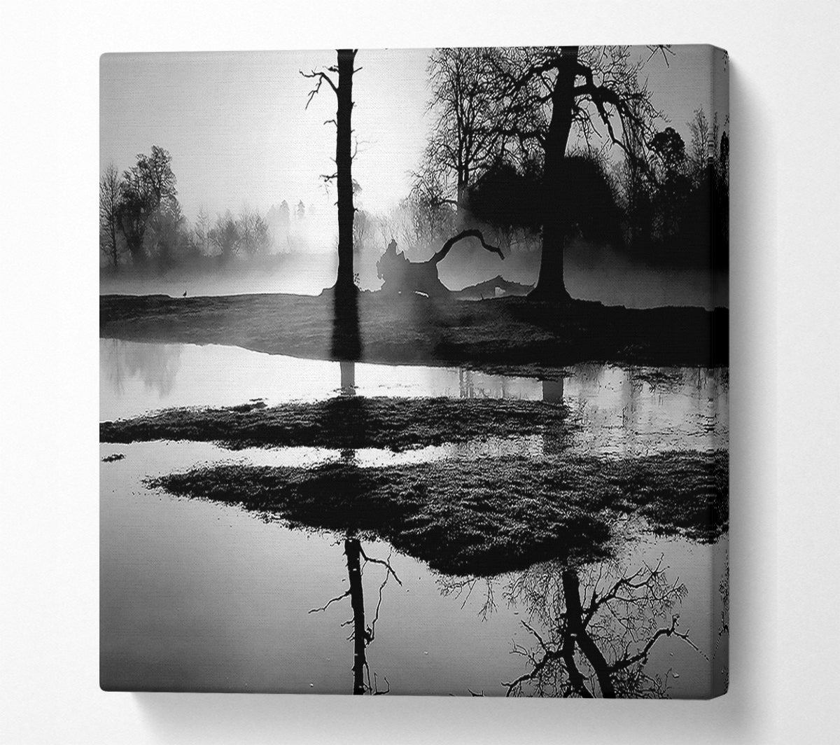 Sunset Forest Waters B n W Canvas Wall Art