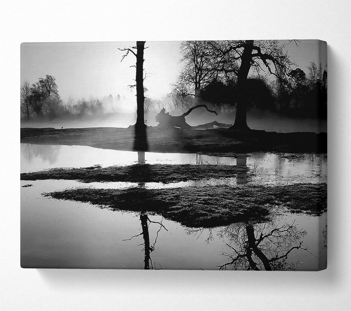 Sunset Forest Waters B n W Canvas Wall Art