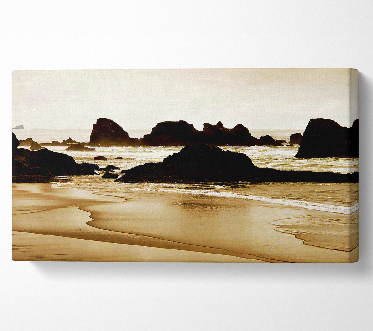 Sepia Ocean Delight Canvas Wall Art