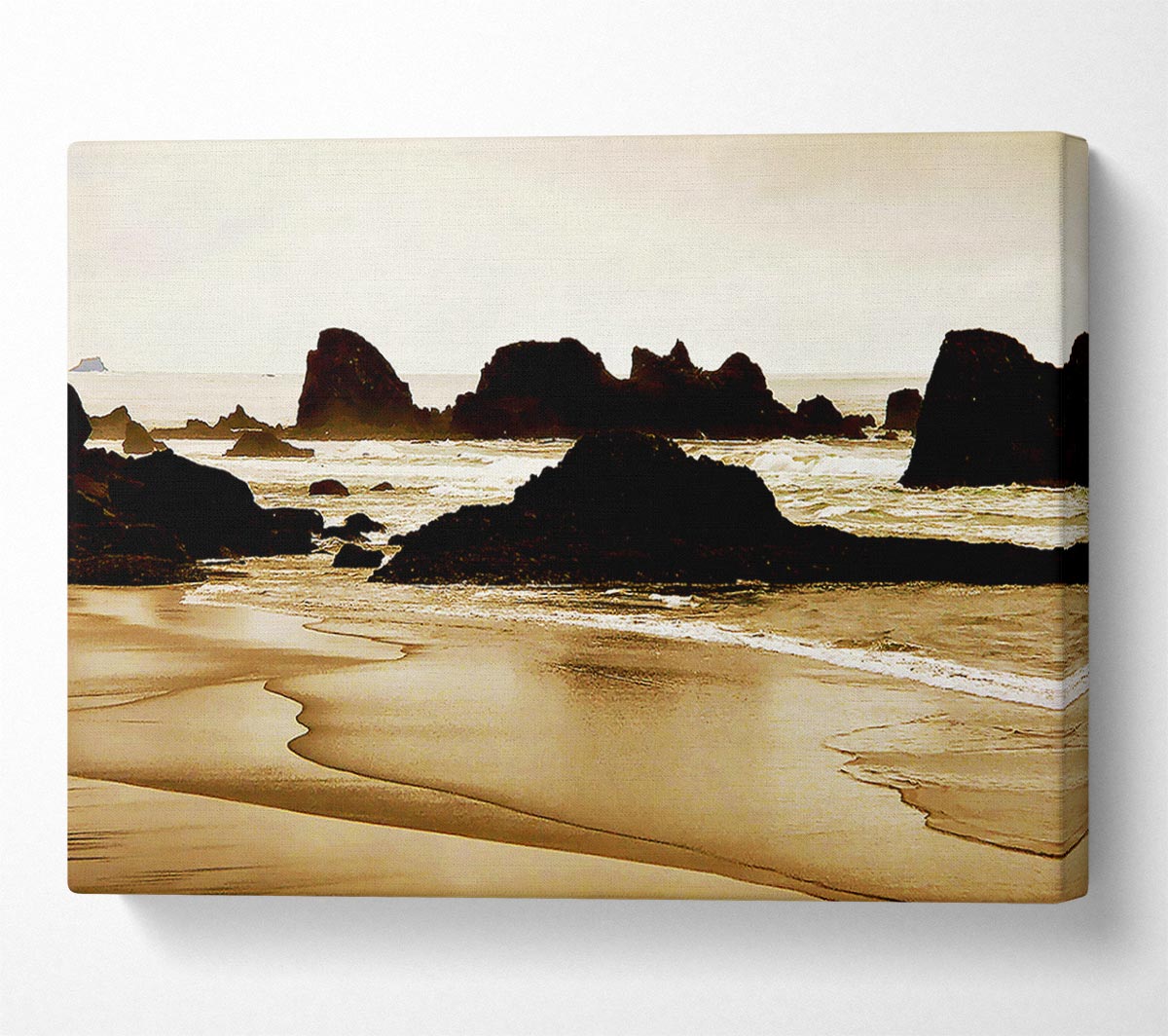 Sepia Ocean Delight Canvas Wall Art
