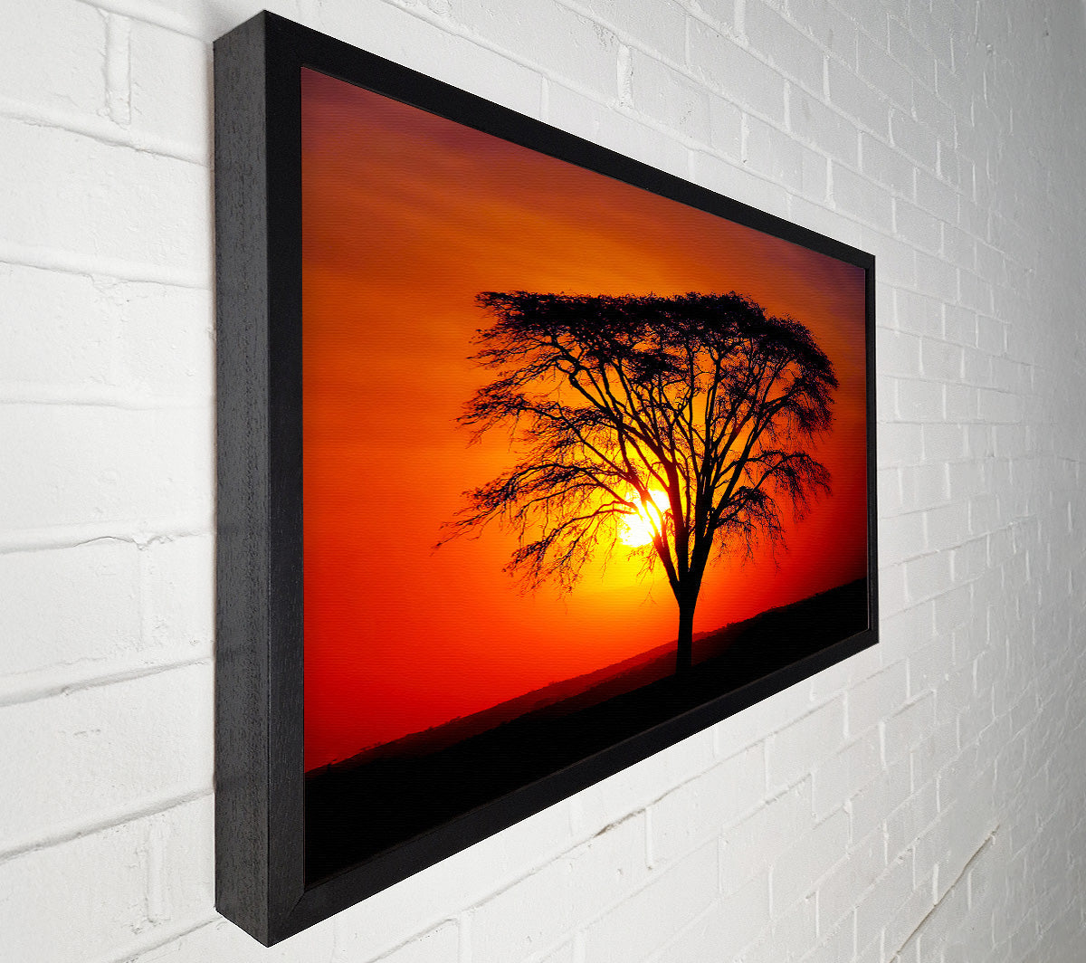 Sunset Through The Trees Canvas Wall Art