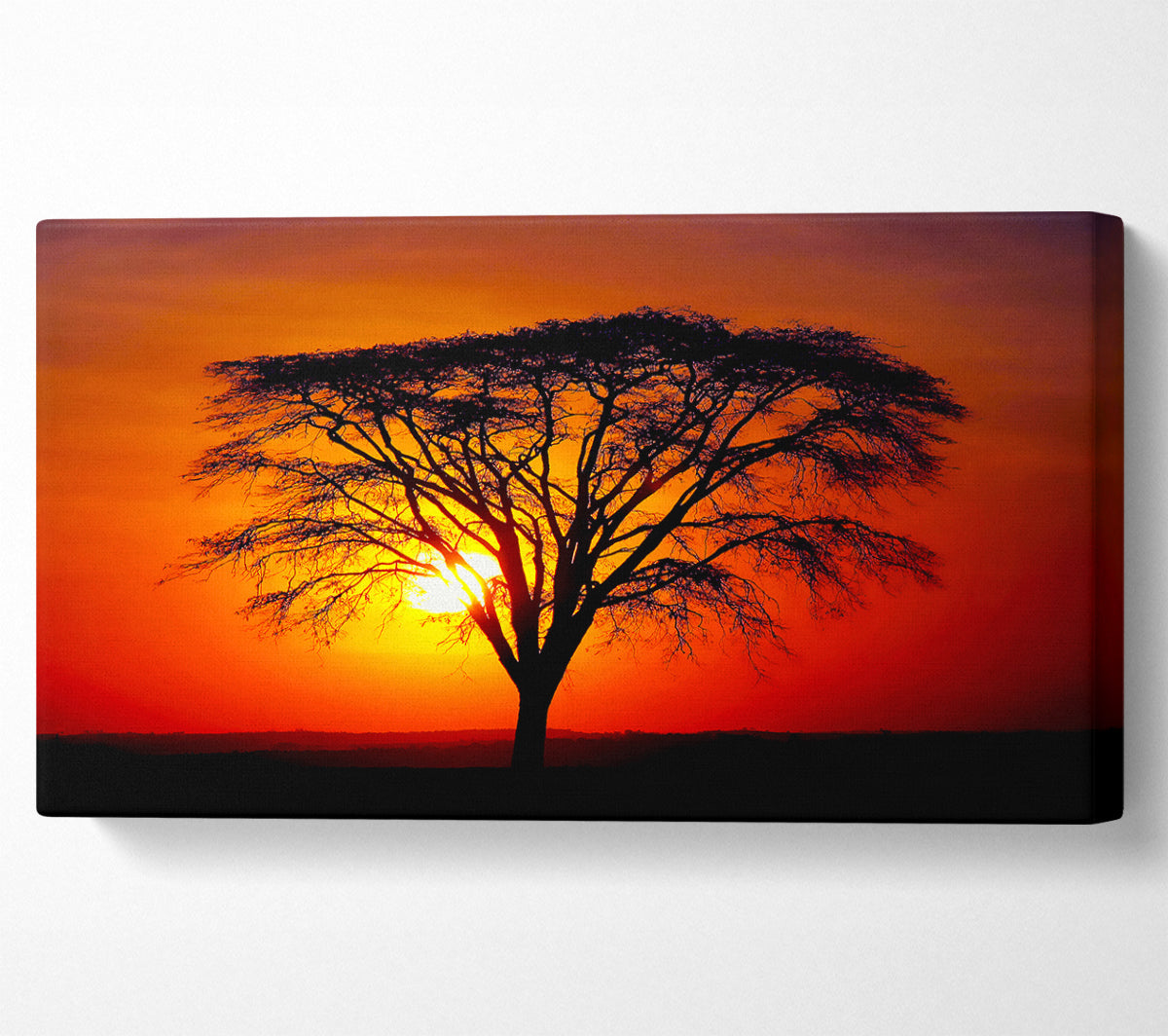Sunset Through The Trees Canvas Wall Art