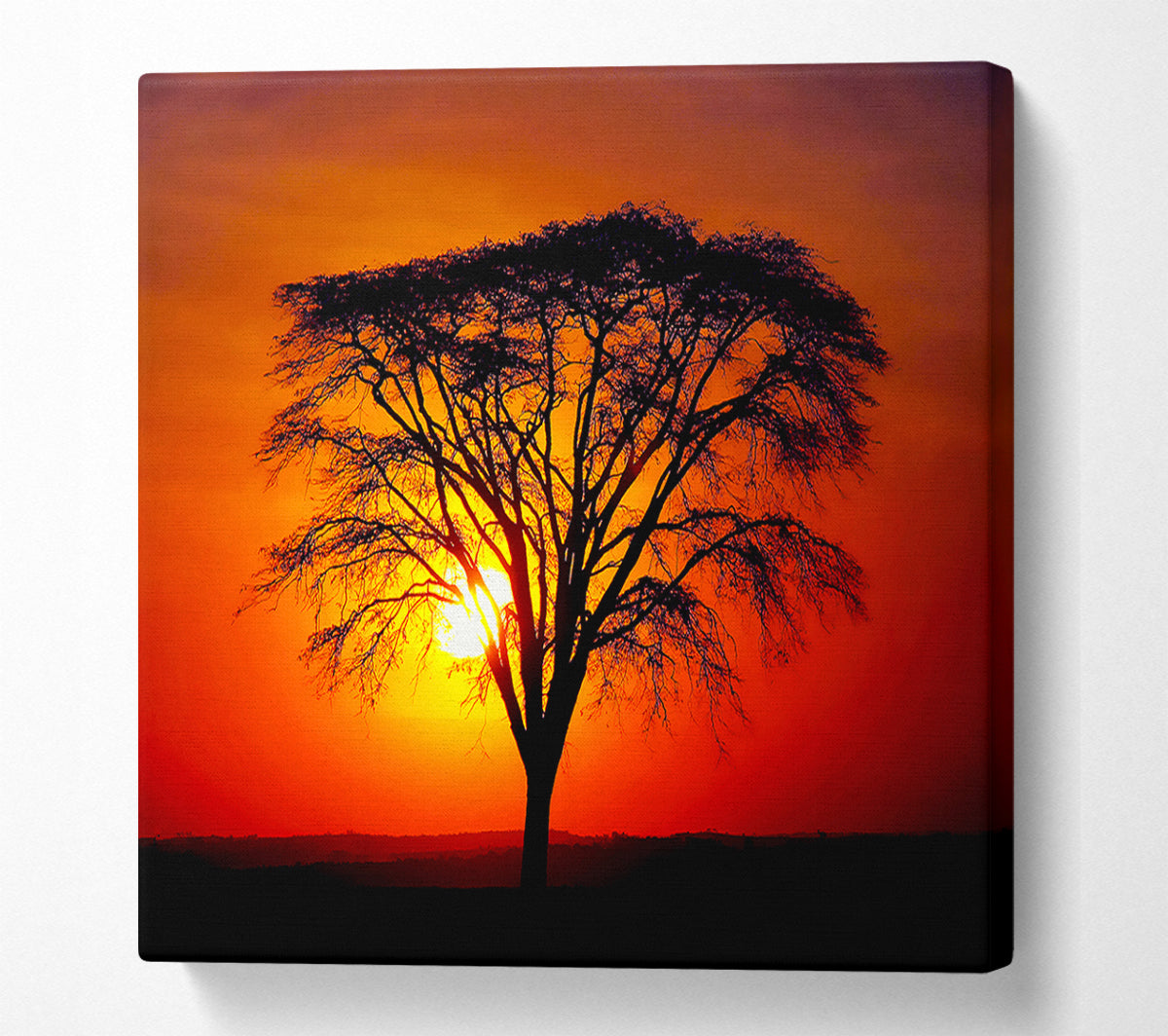 Sunset Through The Trees Canvas Wall Art
