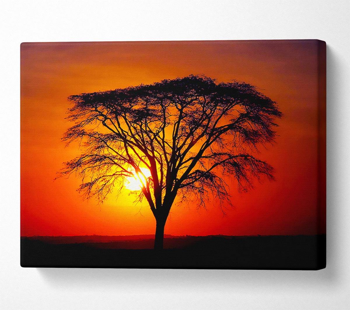 Sunset Through The Trees Canvas Wall Art