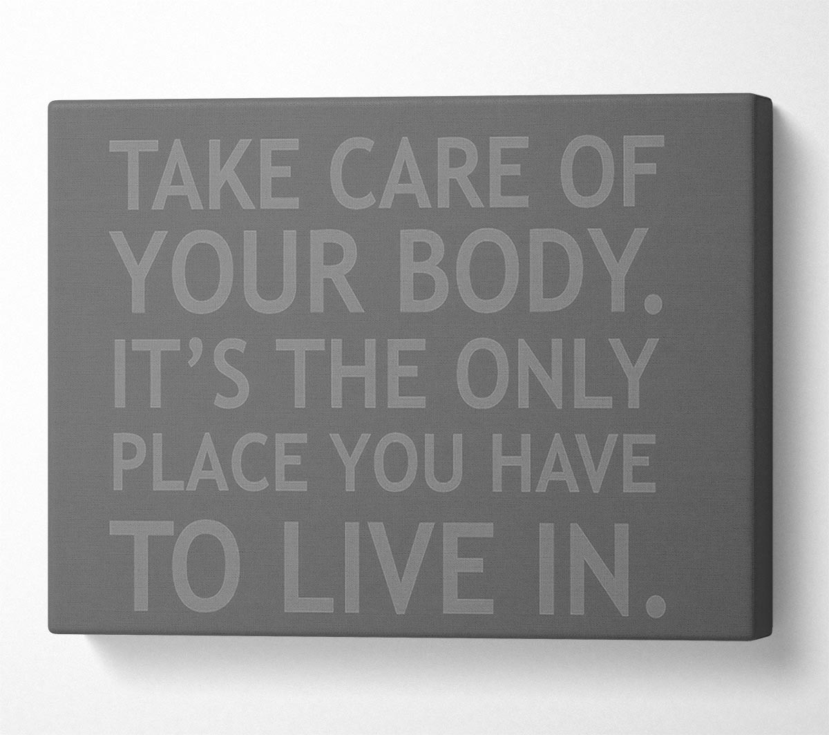 Take Care Of Your Body Grey Canvas Wall Art
