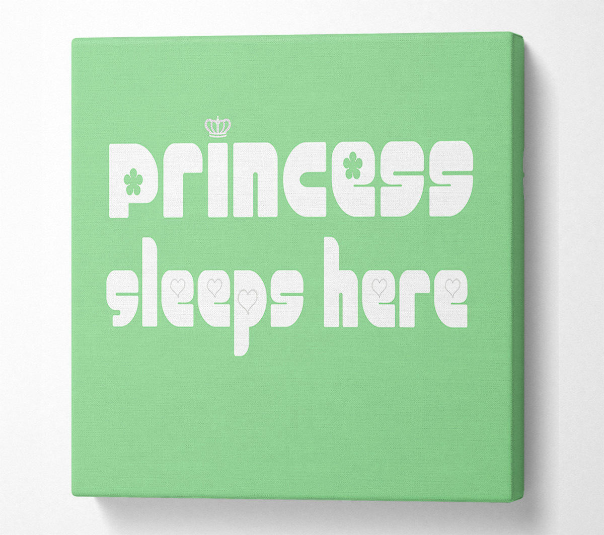 Princesss Sleeps Here 2 Green Canvas Wall Art