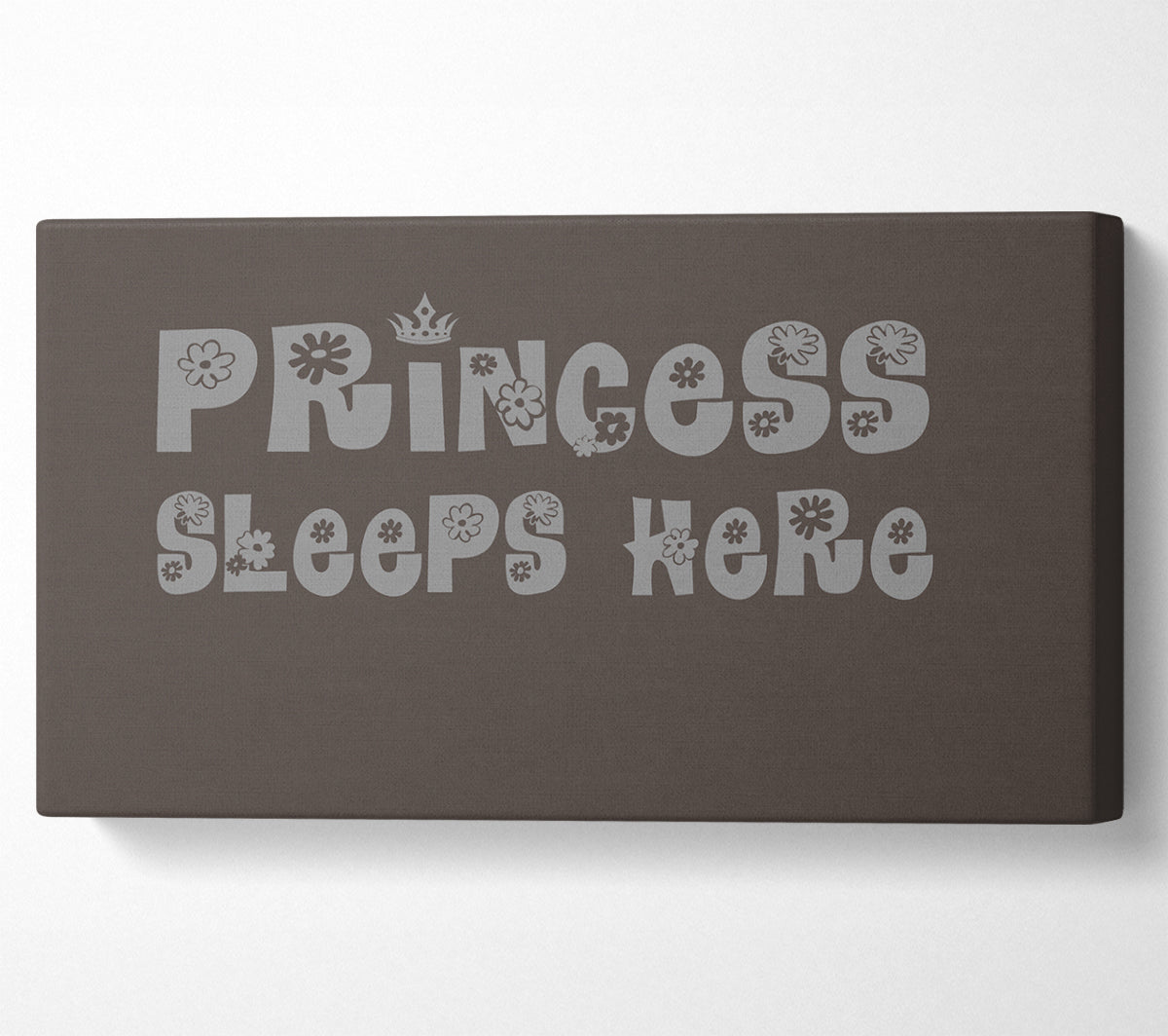 Princesss Sleeps Here Chocolate Canvas Wall Art