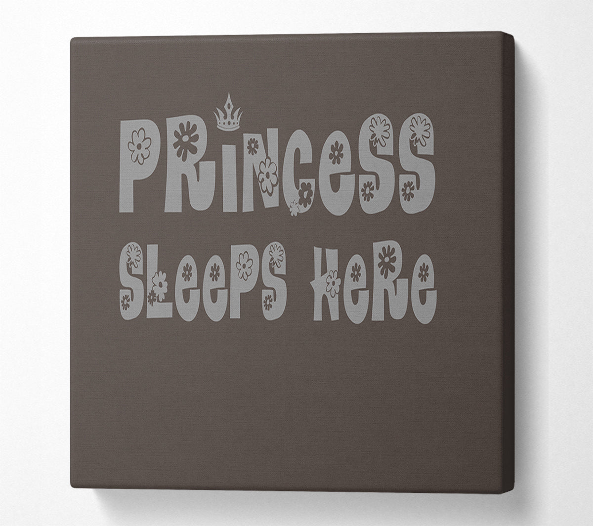 Princesss Sleeps Here Chocolate Canvas Wall Art