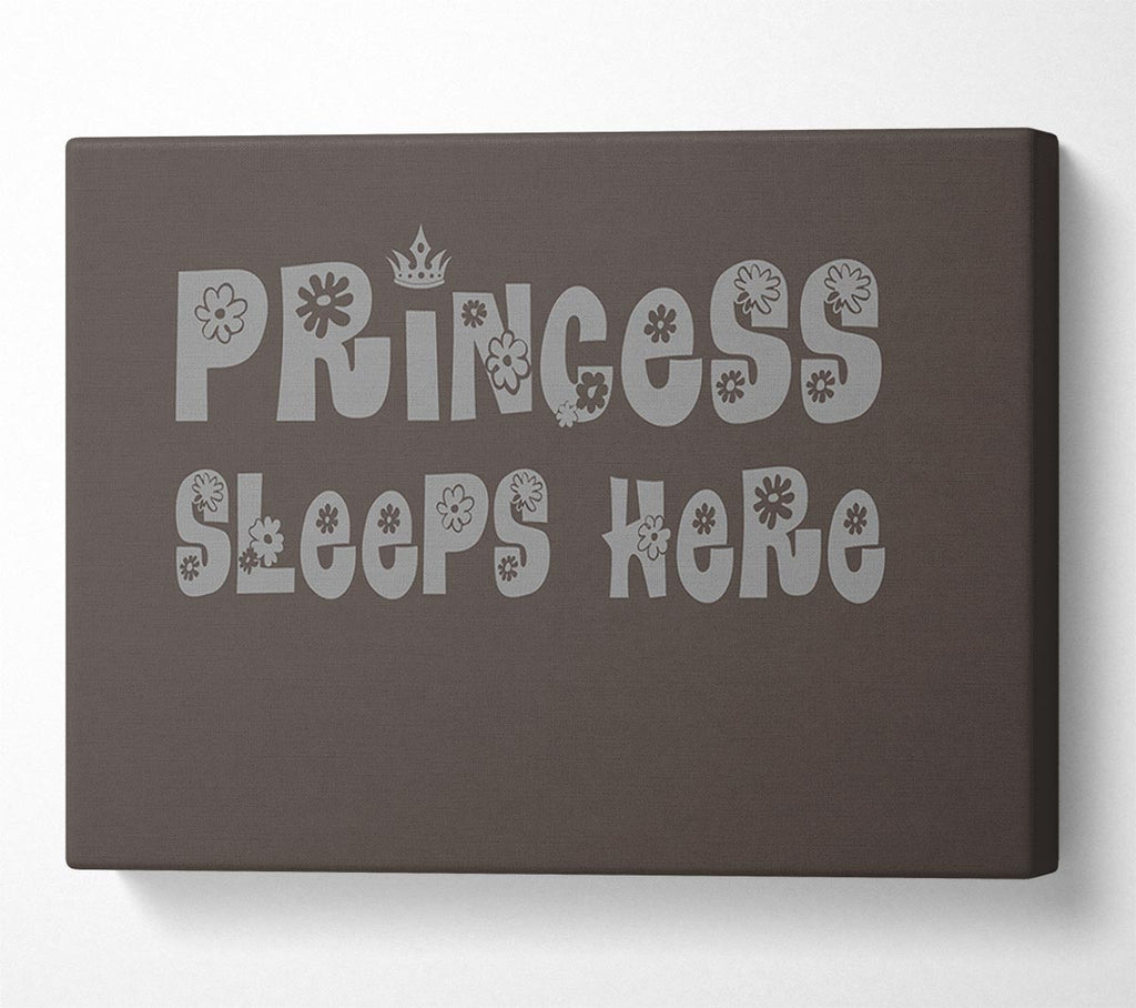 Princesss Sleeps Here Chocolate Canvas Wall Art