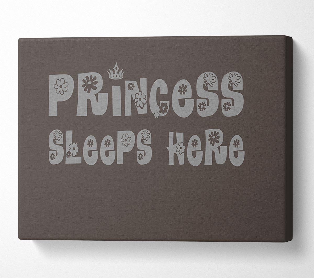 Princesss Sleeps Here Chocolate Canvas Wall Art