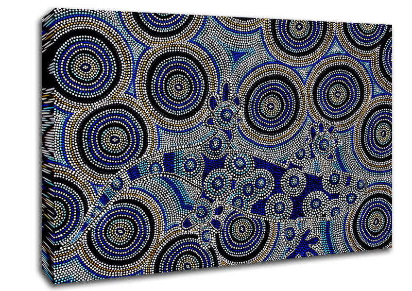 Aboriginal Chameleon Trick Canvas Wall Art