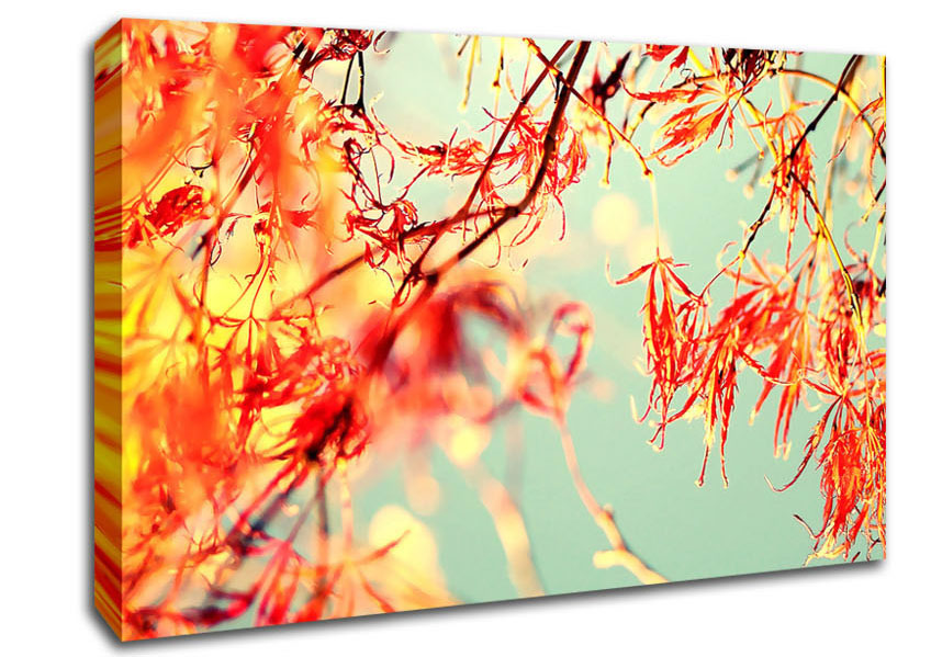 A Broader View Canvas Print