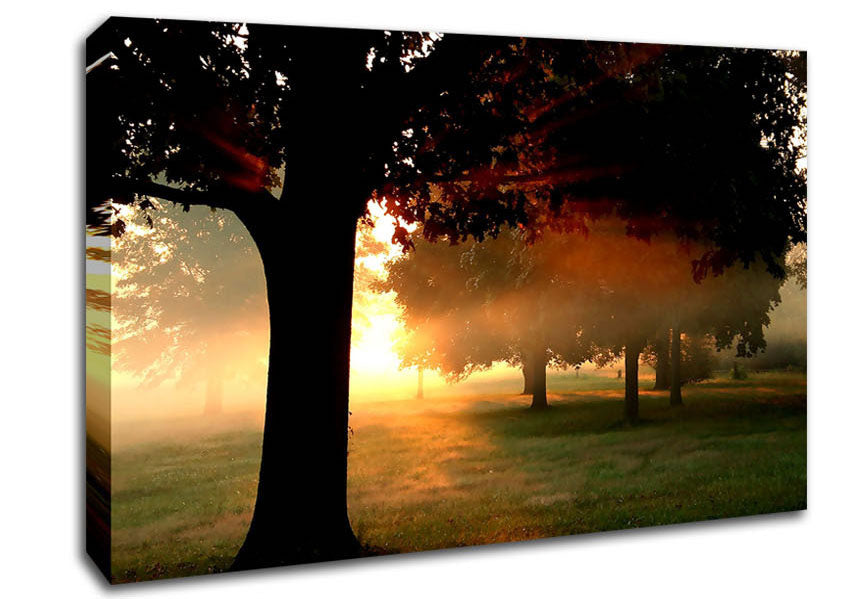 A New Day Canvas Wall Art