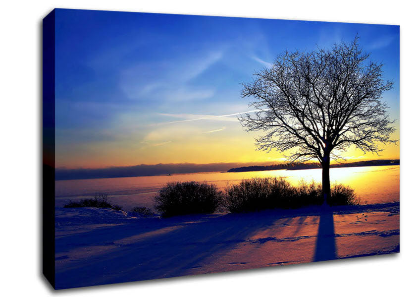 A Calm Winters Day Canvas Print