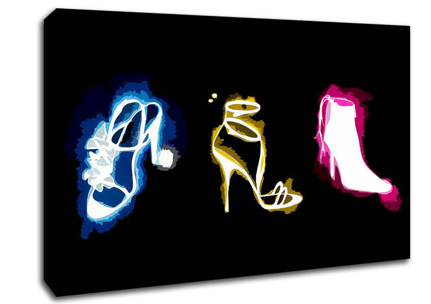 A Womans Love Of Shoes Canvas Print