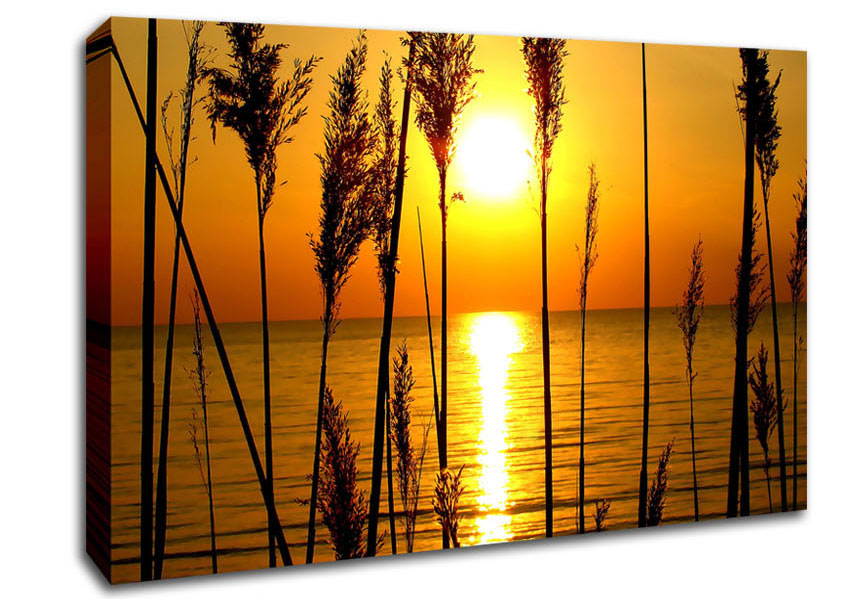 A Perfect Sunset Canvas Wall Art