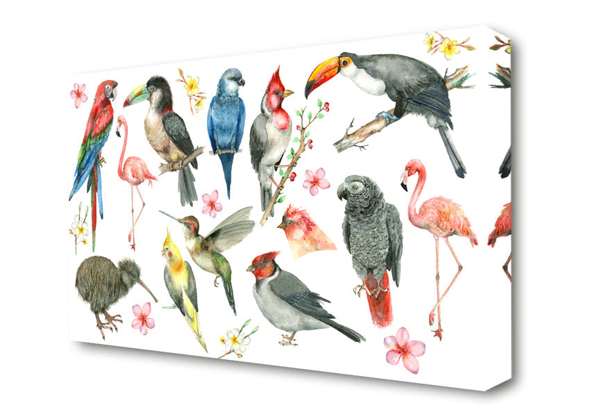 A Collage Of Birds Canvas Print
