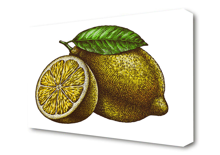 A Lemon Illustrated Canvas Wall Art
