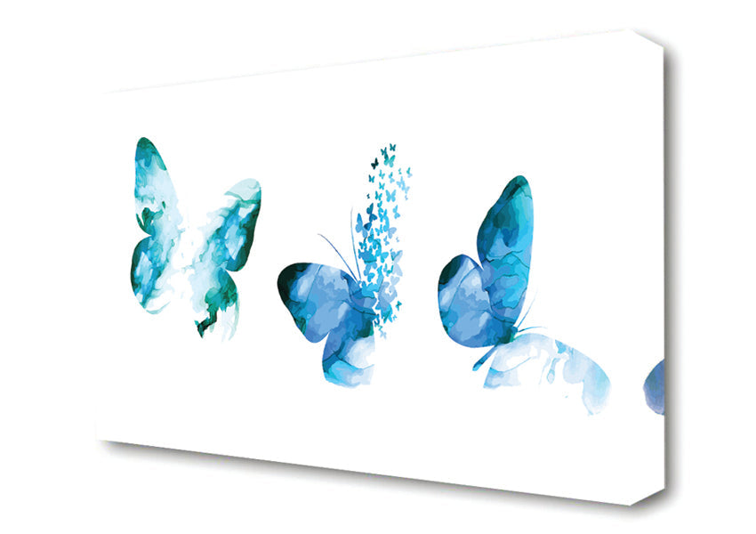 A Trio Of Blue Butterflies Canvas Print