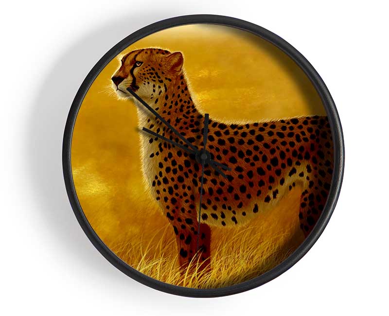 African Cheetah