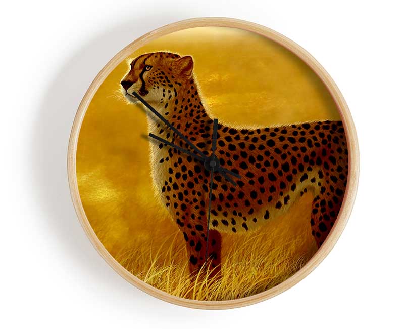 African Cheetah