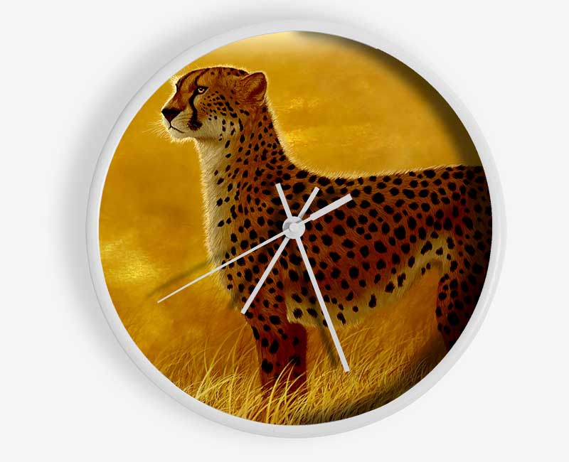 African Cheetah