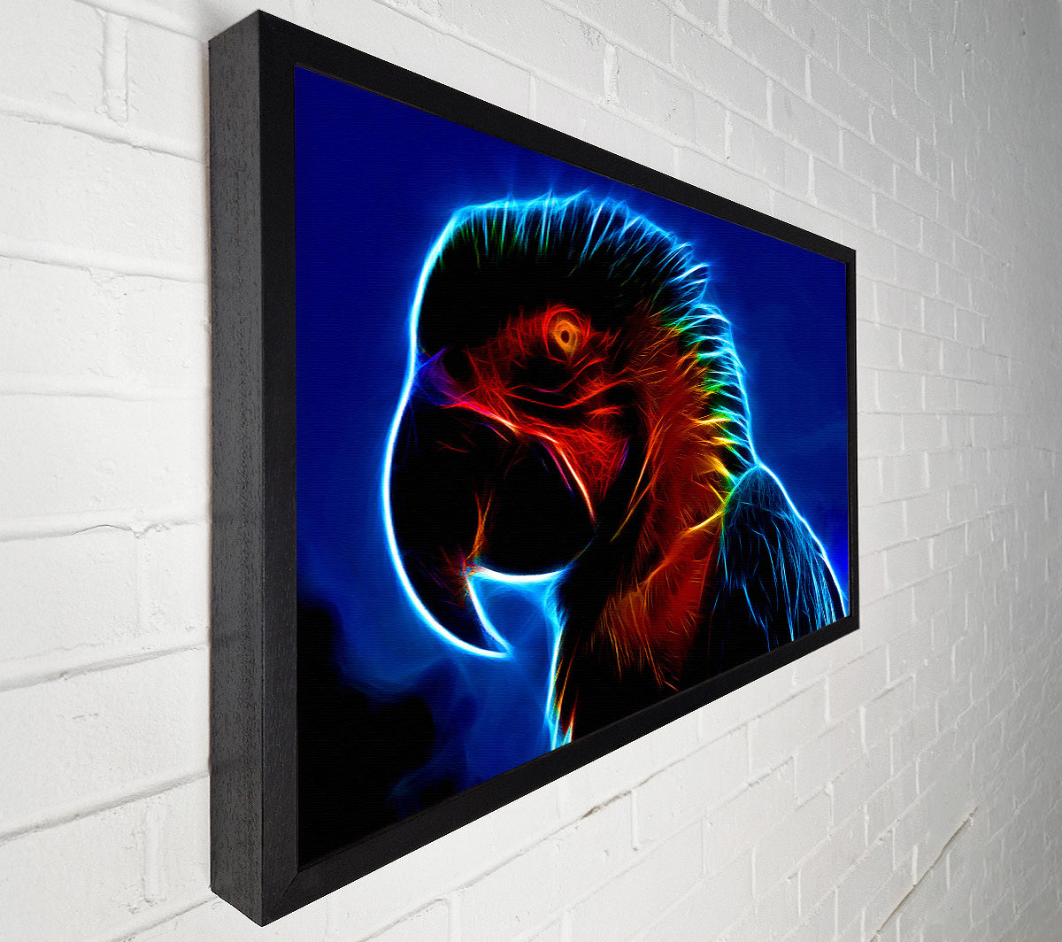Rainbow Parrot Canvas Wall Art