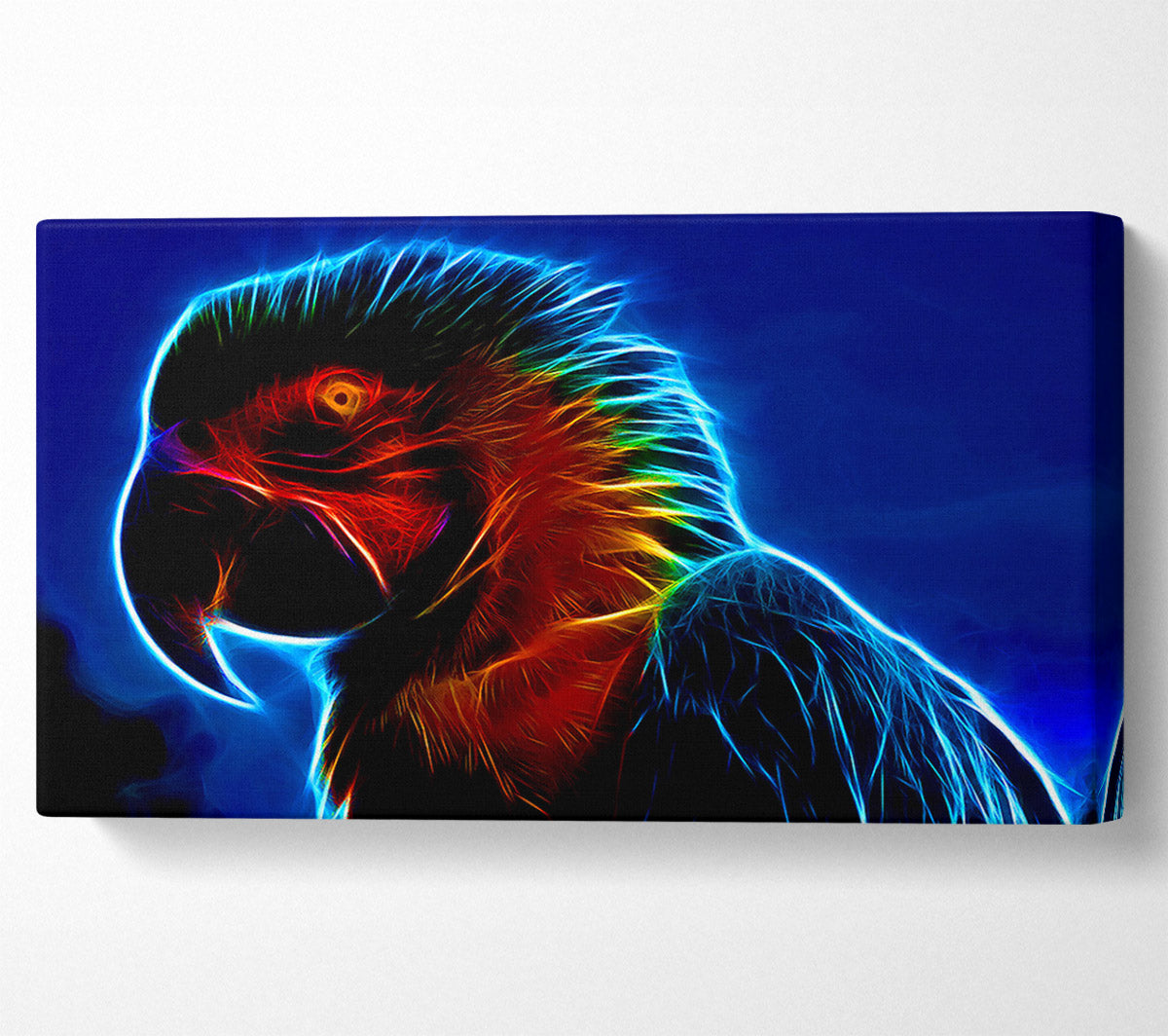 Rainbow Parrot Canvas Wall Art