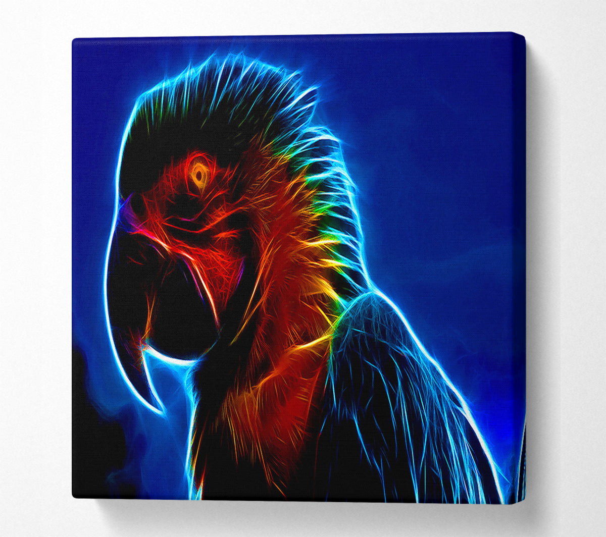 Rainbow Parrot Canvas Wall Art