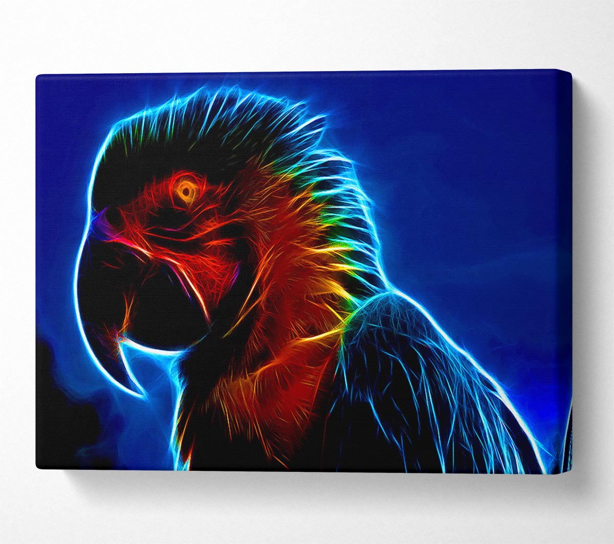 Rainbow Parrot Canvas Wall Art