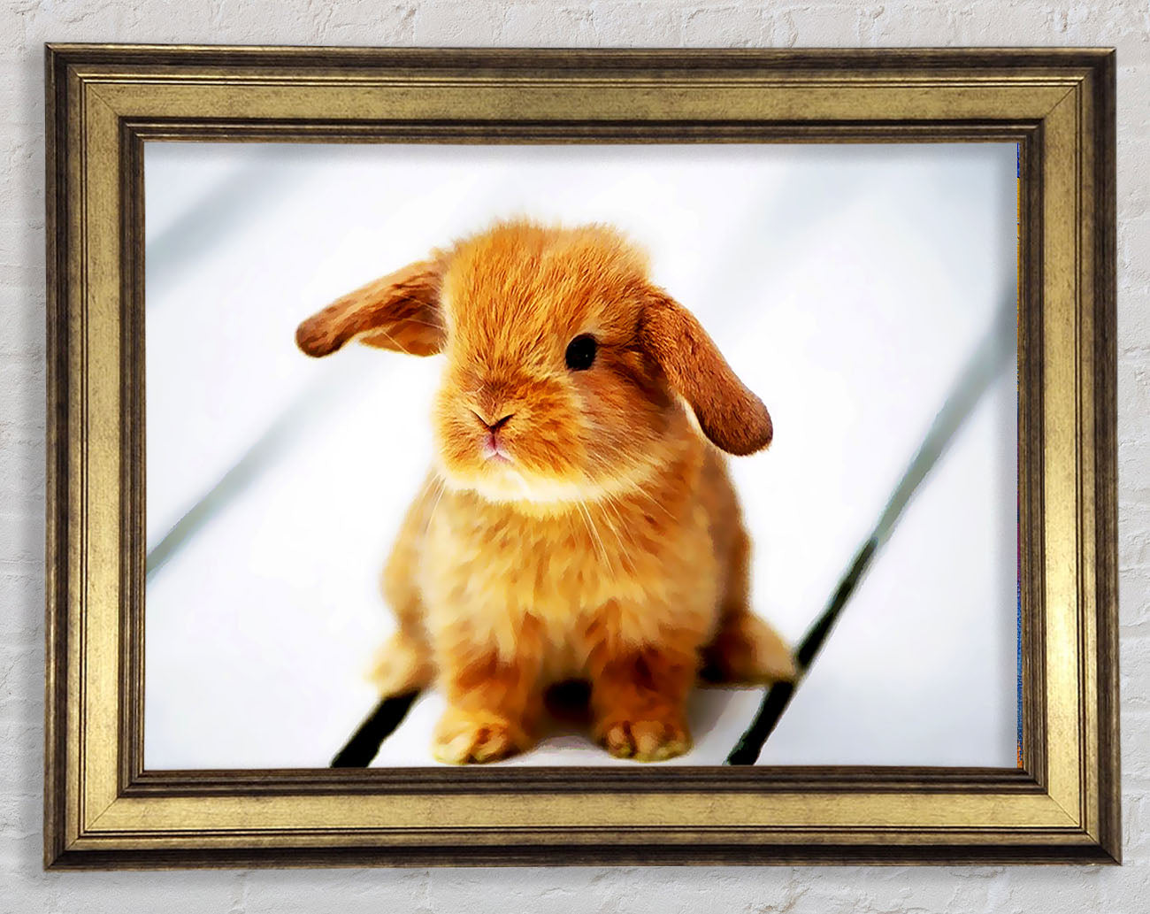 Bunny Rabbit Ears Framed Print
