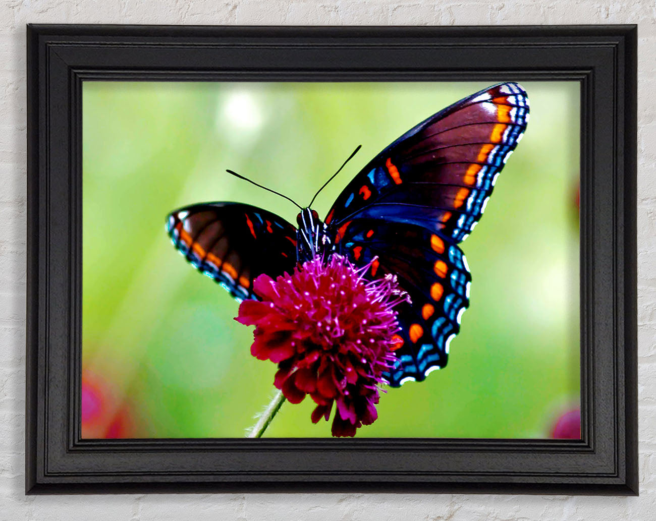 Colourful Butterfly Flower Framed Print