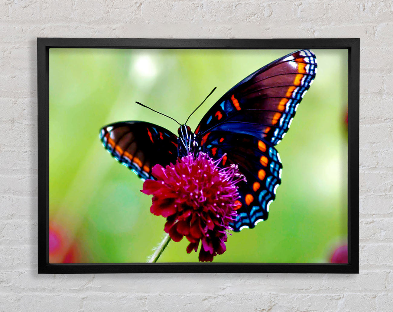 Colourful Butterfly Flower Framed Print