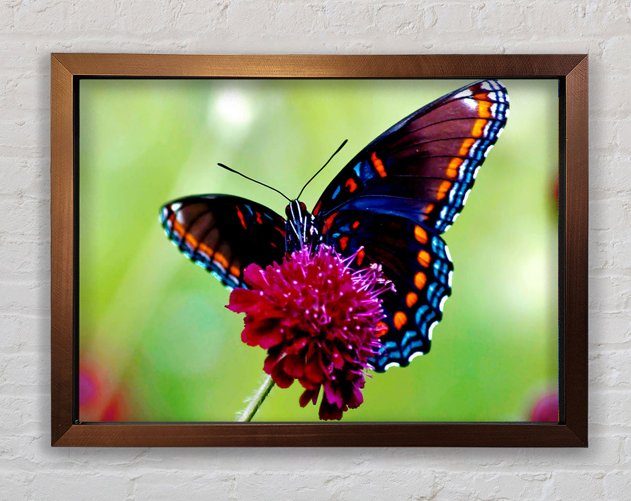 Colourful Butterfly Flower Framed Print