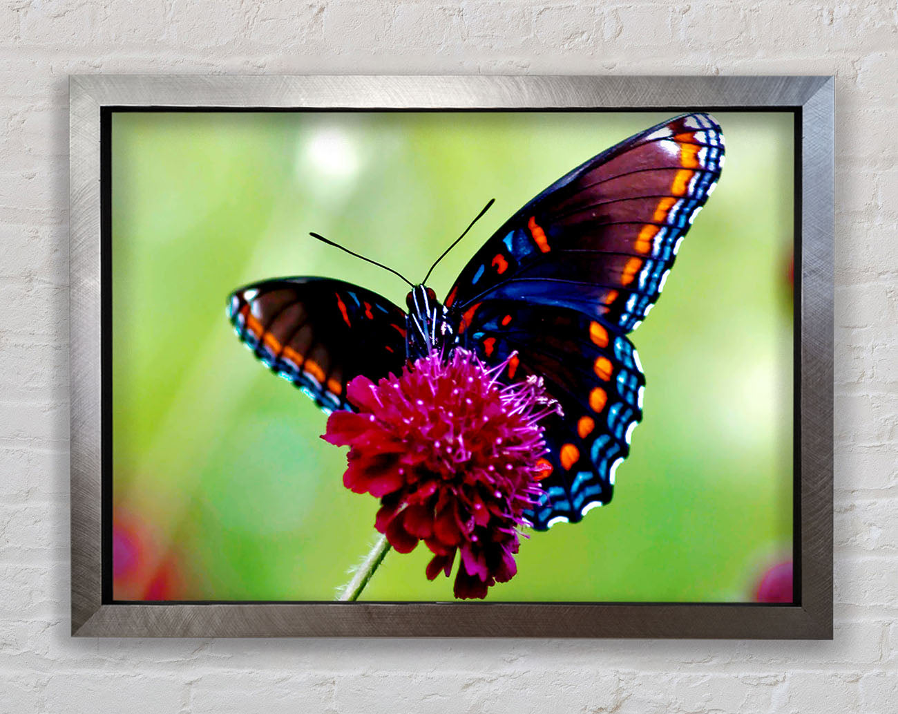 Colourful Butterfly Flower Framed Print