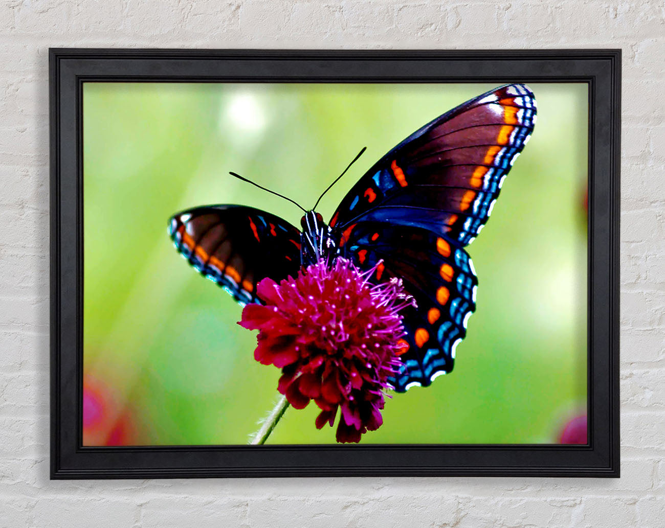 Colourful Butterfly Flower Framed Print