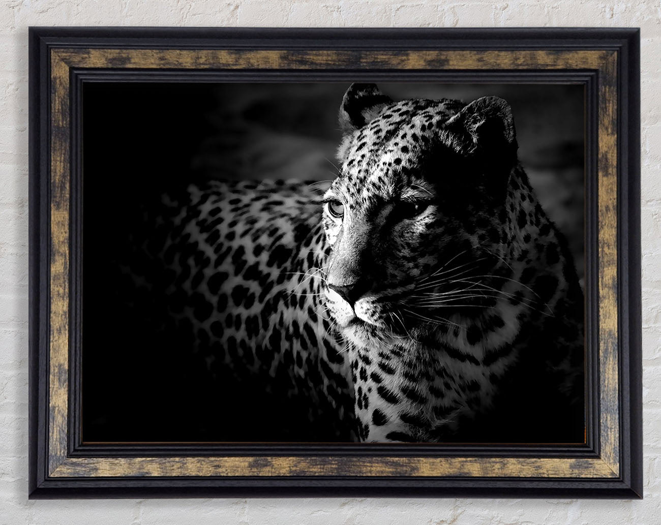 Dark Cheetah Framed Print